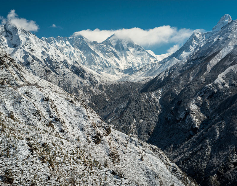 自动发货快的网络短信呼叫软件虚拟号码
