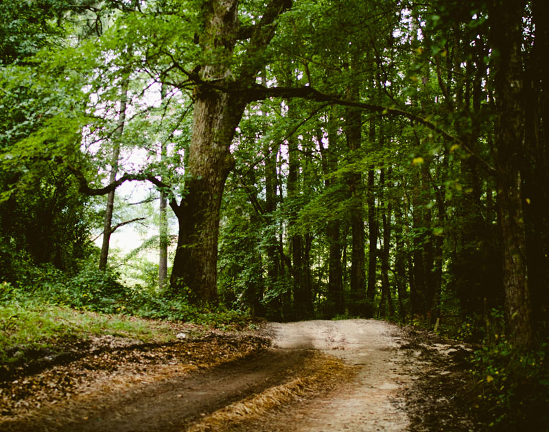 电话验证码轰炸免费